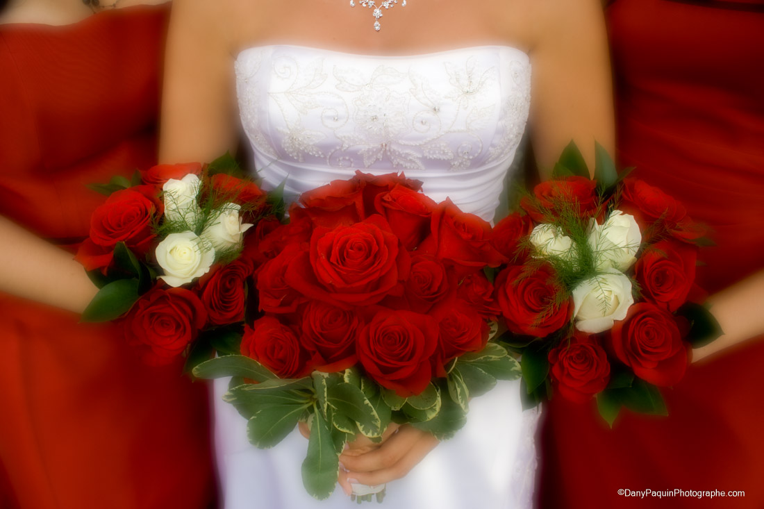 Photographe de mariage a Montreal